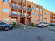 Apartamento, Canelas