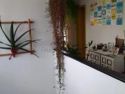 Apartamento Cobertura Duplex Residencial Mont Blanc...