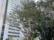 Apartamento com 1 dormitório para alugar, 33 m² por R$...