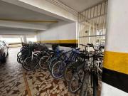 Apartamento com 1 dormitÃ³rio para alugar, 38 mÂ² por R$...