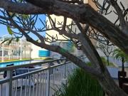 Apartamento com 1 dormitÃ³rio para alugar, 45 mÂ² por R$...