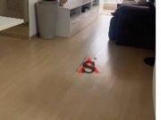 Apartamento com 1 dormitório à venda, 72 m² por R$...