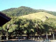 Apartamento com 1 quarto, Praia da Maranduba, Ubatuba R$...