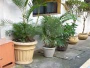 Apartamento com 1 quartos à venda em Bela Vista SP