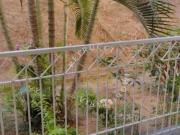 Apartamento com 2 dormitÃ³rios para alugar, 49 mÂ² por...