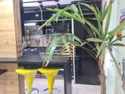 Apartamento com 2 dormitórios à venda, 45 m² por R$...