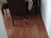 Apartamento com 2 dormitórios à venda, 48 m² por R$...