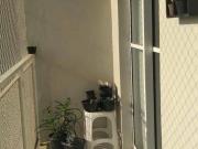 Apartamento com 2 dormitórios à venda, 52 m² por R$...