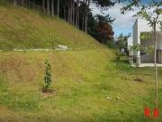 Apartamento com 2 dormitórios e 1 vaga Jardim Caiapiá