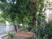 Apartamento com 2 dormitórios no Limão Condominio Nova...