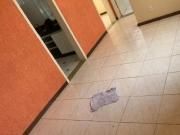 Apartamento com 2 quartos à venda em Contagem, no bairro...