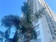 Apartamento com 2 quartos à venda em Lapa SP