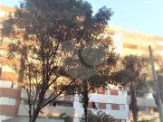 Apartamento com 2 quartos à venda em Vila Amélia SP