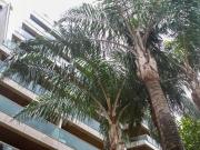 Apartamento com 2 quartos mobiliado vista lagoa e infra...