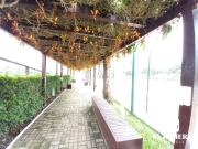 Apartamento com 3 dormitÃ³rios, 132 mÂ² venda por R$...