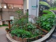 Apartamento com 3 dormitÃ³rios para alugar, 64 mÂ² por...