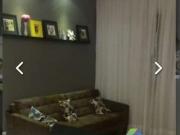 Apartamento com 3 dormitórios à venda, 70 m2 por R$...