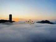 Apartamento com 3 dormitórios à venda, 86 m² por R$...