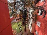 Apartamento com 3 quartos à venda, 66 m² por R$ 365.000...