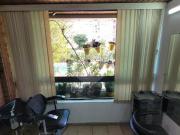 Apartamento com 3 quartos à venda em Bela Aliança SP