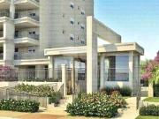 Apartamento com 3 quartos à venda em Ipiranga SP