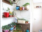 Apartamento com 3 quartos à venda em Santa Teresinha SP