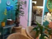Apartamento com 3 quartos à venda em Vila Medeiros SP