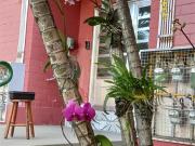 Apartamento com 3 quartos Ã venda ou para locaÃ§Ã£o em...