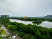 Apartamento com 4 dormitórios à venda, 312 m² por R$...