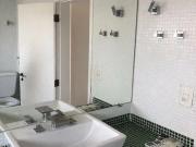 Apartamento com 4 dormitórios para alugar, 250 m² por R$...