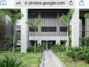 Apartamento com 4 quartos à venda em Belo Horizonte, no...