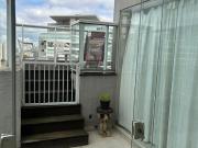 Apartamento com 5 quartos, 243 m² à venda em Ipiranga