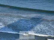 Apartamento com sacada gourmet e vista lateral mar, 4...