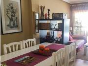 APARTAMENTO CON GRAN TERRAZA