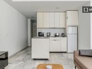 Apartamento de 1 dormitorio en alquiler en Centro, Madrid