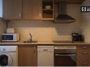 Apartamento de 1 dormitorio en alquiler en El Born