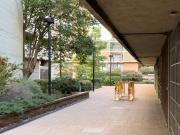 Apartamento de 1 dormitorio en alquiler en Gracia Nova,...