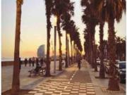 Apartamento de 1 dormitorio en alquiler en La...