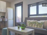Apartamento de 1 dormitorio en alquiler en Madrid
