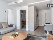 Apartamento de 1 dormitorio en alquiler en Madrid