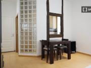 apartamento de 1 dormitorio en alquiler en Madrid Centro