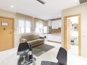apartamento de 1 dormitorio en alquiler en Madrid Centro