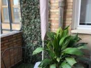 Apartamento de 1 dormitorio en alquiler en Palacio