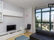 Piso de 1 dormitorio en alquiler en San Isidro, Madrid