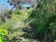 Apartamento de 1 quarto para alugar em Almada, Lisboa