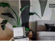 Apartamento de 2 dormitorios en alquiler en LEixample