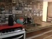 Apartamento de 49 metros com vaga para compra na Penha