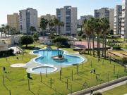 Apartamento de alquiler en Calle Calle Músico Antón...