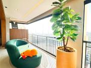 Apartamento de Alto Padrão à Venda