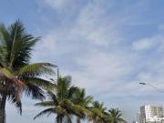 APARTAMENTO DE UM DORMITORIO EM MONGAGUA FRENTE PARA A PRAIA